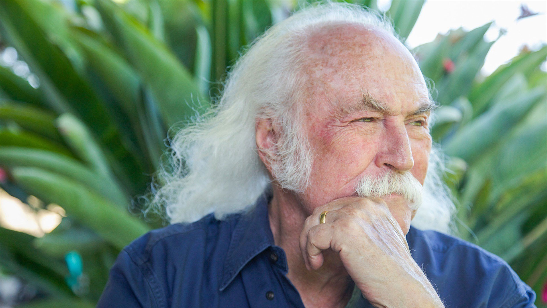 David Crosby and Friends