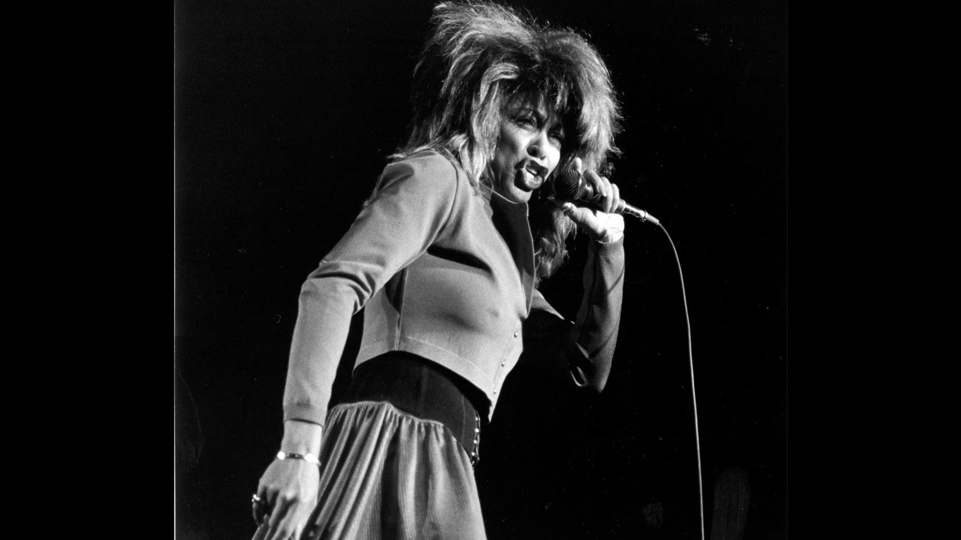Tina Turner intelligence overview